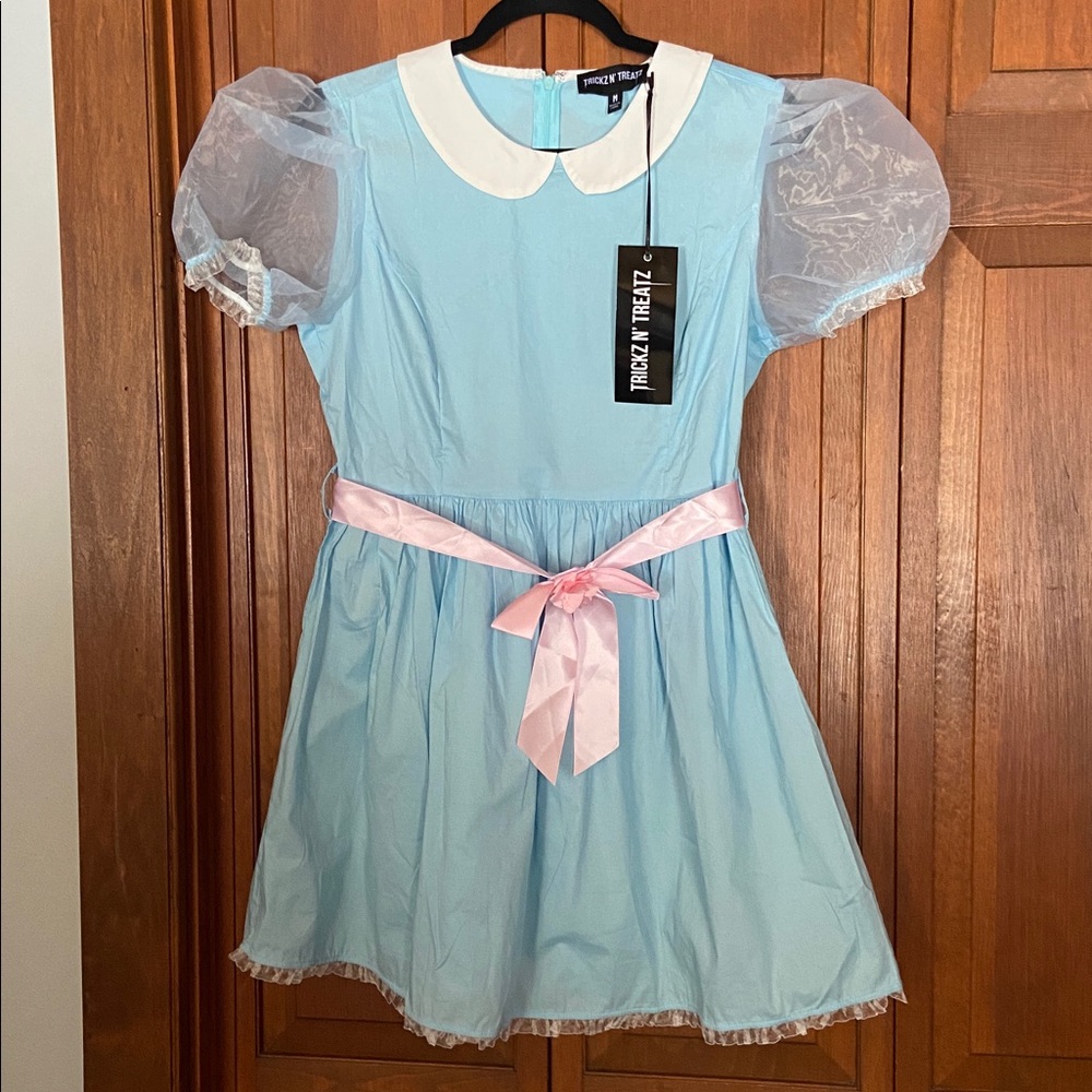 🏷️BNWT Dolls Kill Lt Blue Alice/Shining Inspired Dress, Puff Sleeves, Pink Belt